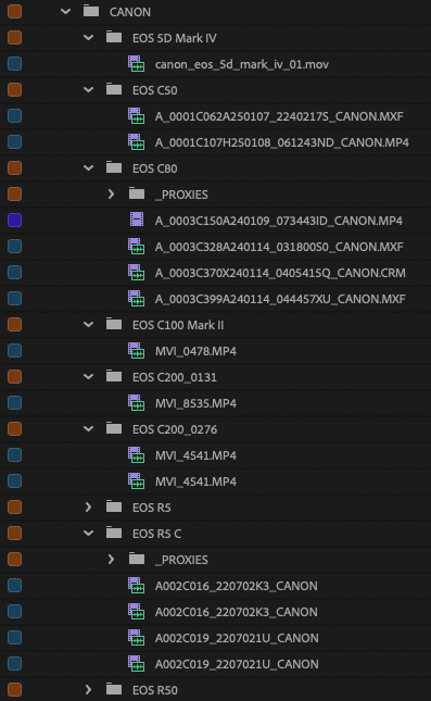 Camera masters stay in the brand tree. Exports sit beside them in _OTHER_VIDEOS.