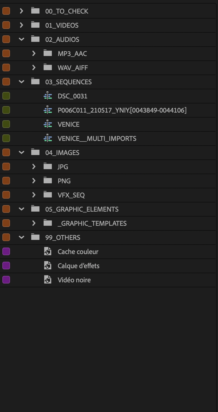 Audio by format, then sequences, images, graphics, and NLE-generated items in their own bins.