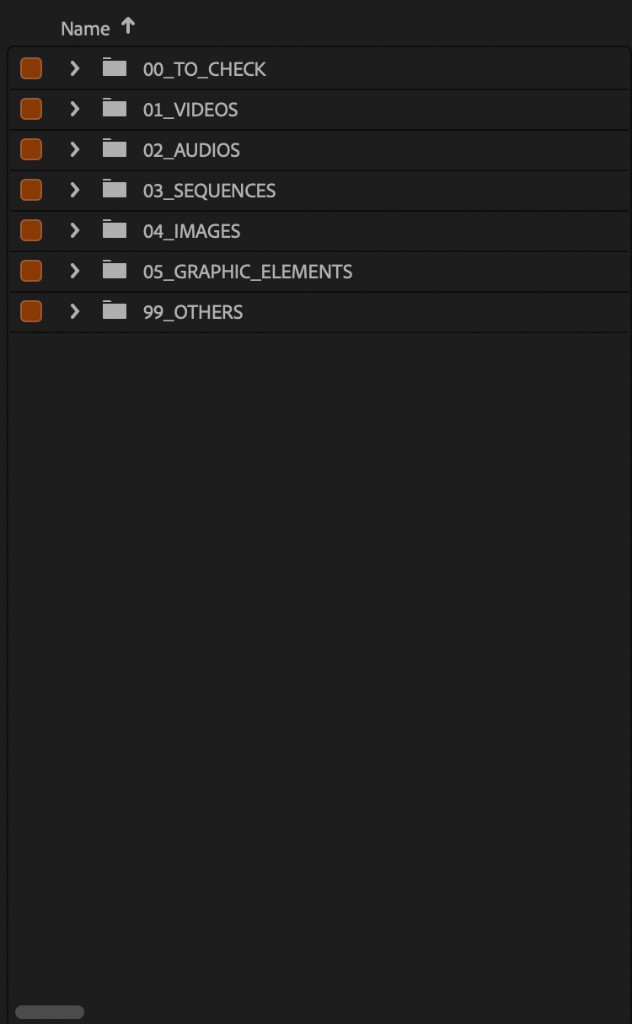 Default Premiere bin: 00_TO_CHECK, 01_VIDEOS, 02_AUDIOS, 03_SEQUENCES, 04_IMAGES, 05_GRAPHIC_ELEMENTS, 99_OTHERS.