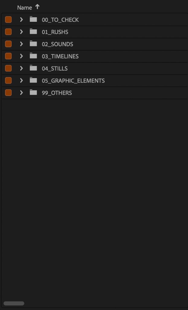 Premiere bin with custom names: 01_RUSHS, 02_SOUNDS, 03_TIMELINES, 04_STILLS. 00_TO_CHECK at the top, 99_OTHERS at the bottom.