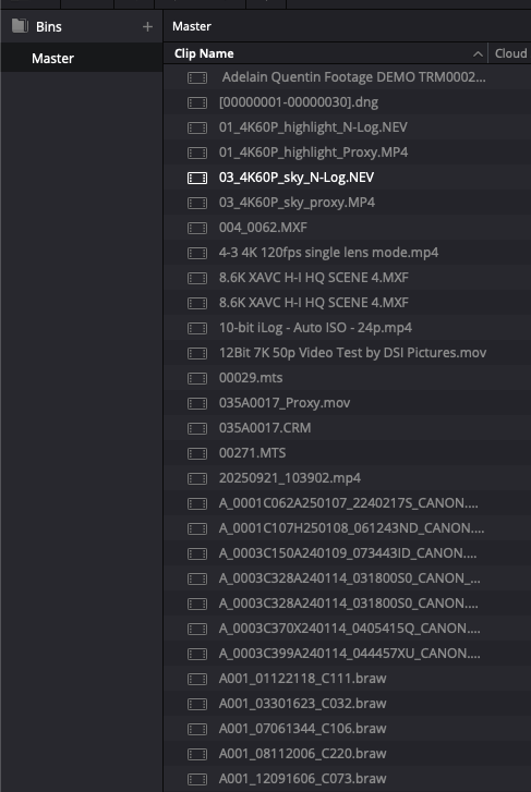 DaVinci Resolve Media Pool before: flat Master bin, unsorted clips of many formats.